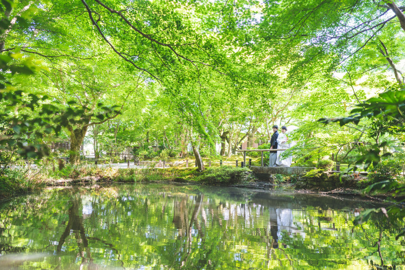 緑豊かな庭園の中で鮮やかな絵画のような一枚を