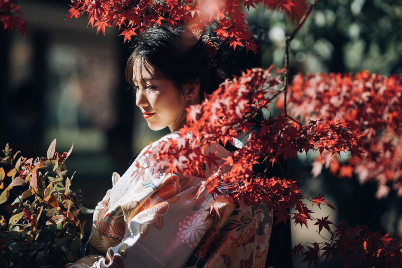 期間限定の料金