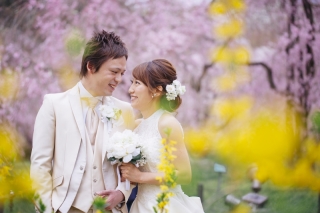 桜フォト植物園