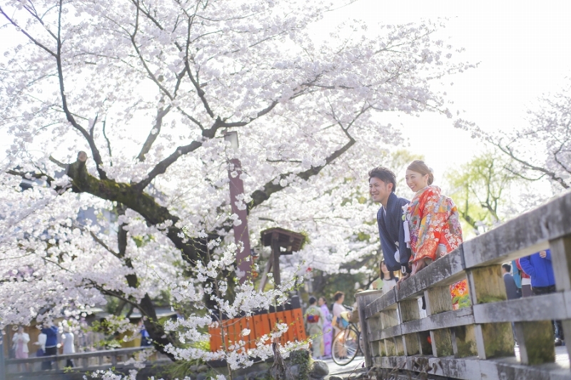 満開の桜