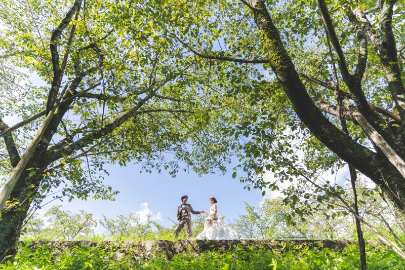 青空・新緑が揃った一枚