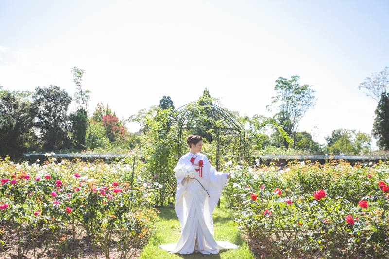 薔薇と和装のコラボショット