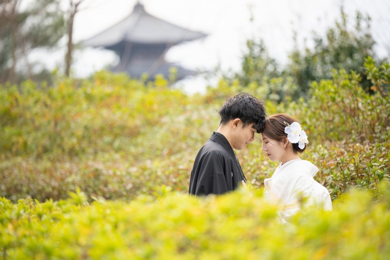 生い茂ってる花々です。
