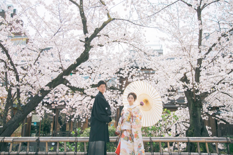 淡い色味の色打掛