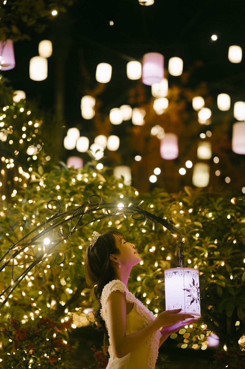 幻想的なランタン