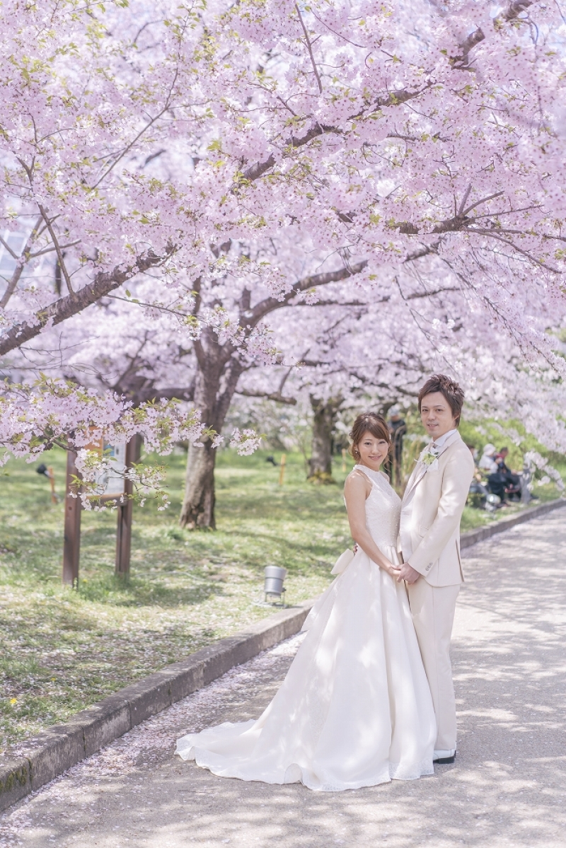 満開の桜