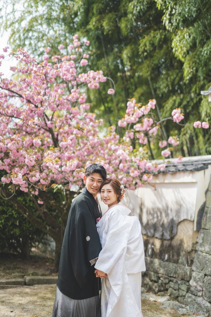 綺麗なピンクの背景と