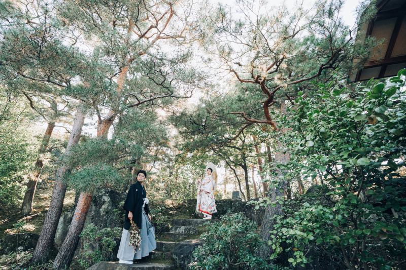 このプランの適用条件