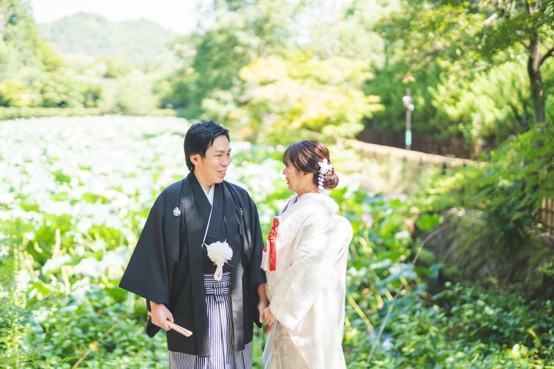 自然のエネルギッシュさ