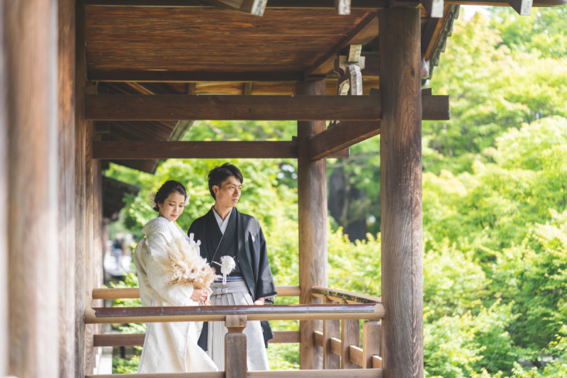 日本建築と緑のコントラスト