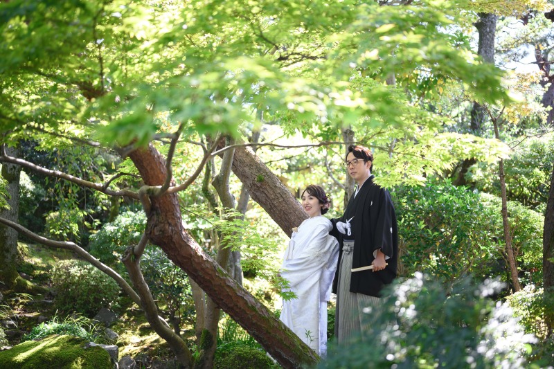 あたたかな、ひと時