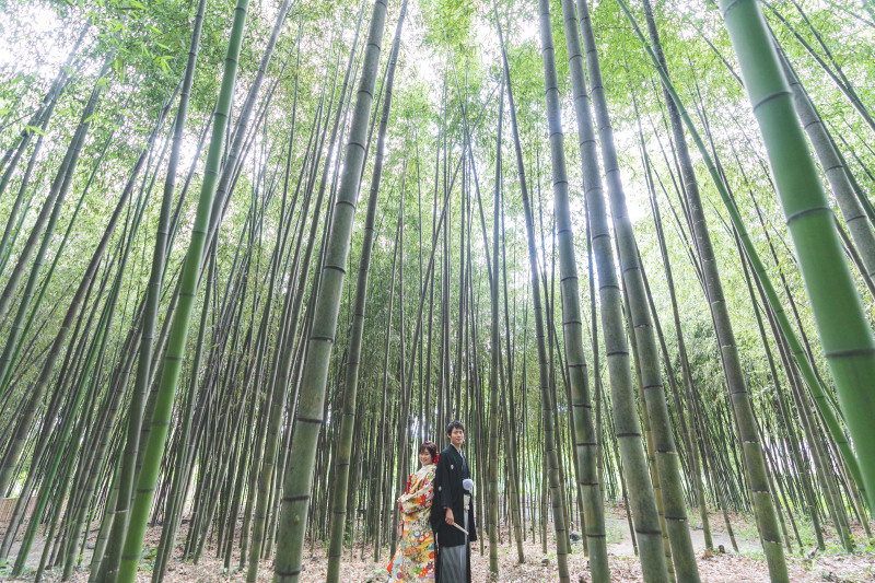 大迫力の竹林の中で