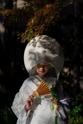 紅葉　日本庭園ロケーション