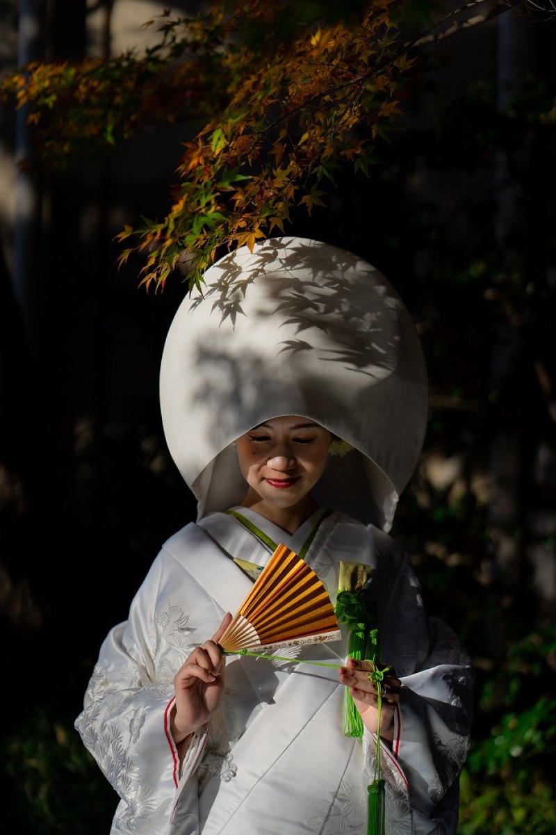 紅葉 日本庭園ロケーション