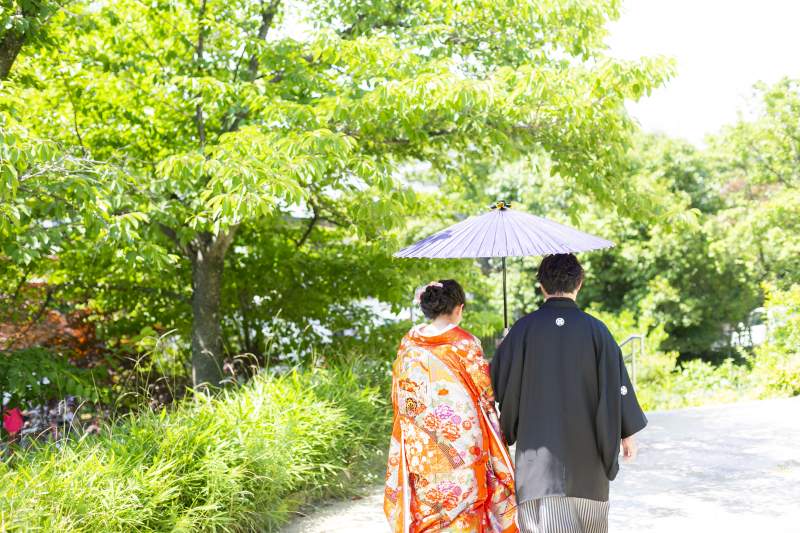 日の光に照らされて