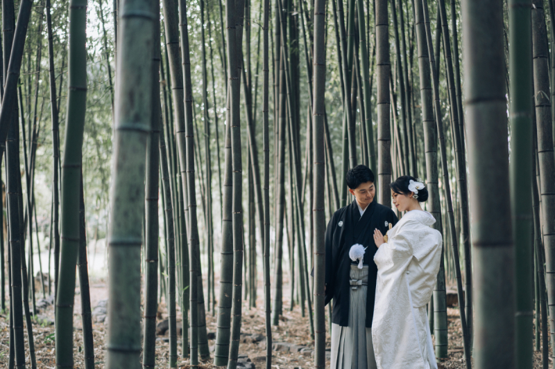 お伽話のような幻想的な一枚を