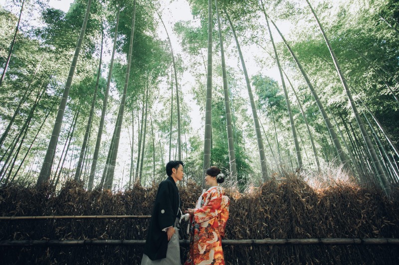 幻想的でスケール感溢れるショット