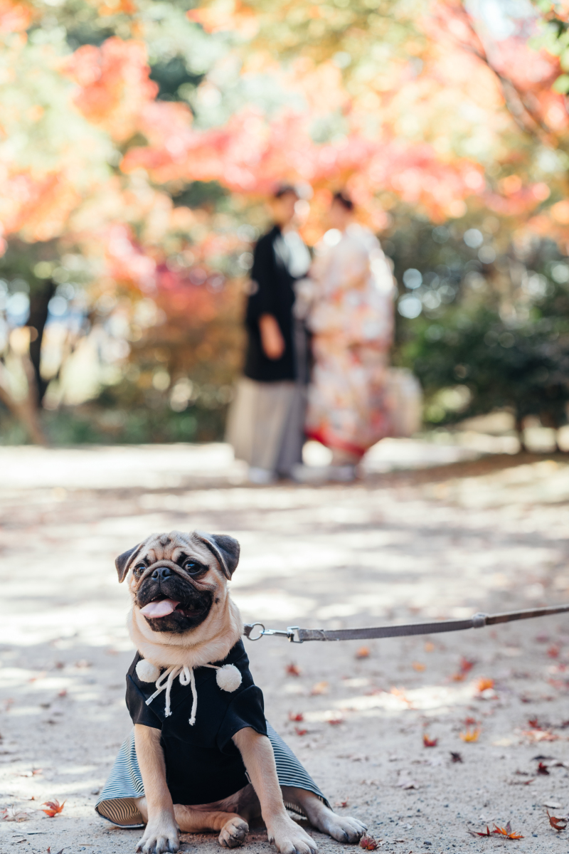 Point1 撮影でどのような制限がある?ない?