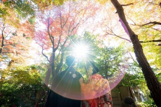 紅葉　日本庭園ロケーション