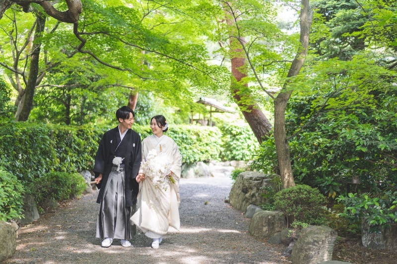 透けるような緑