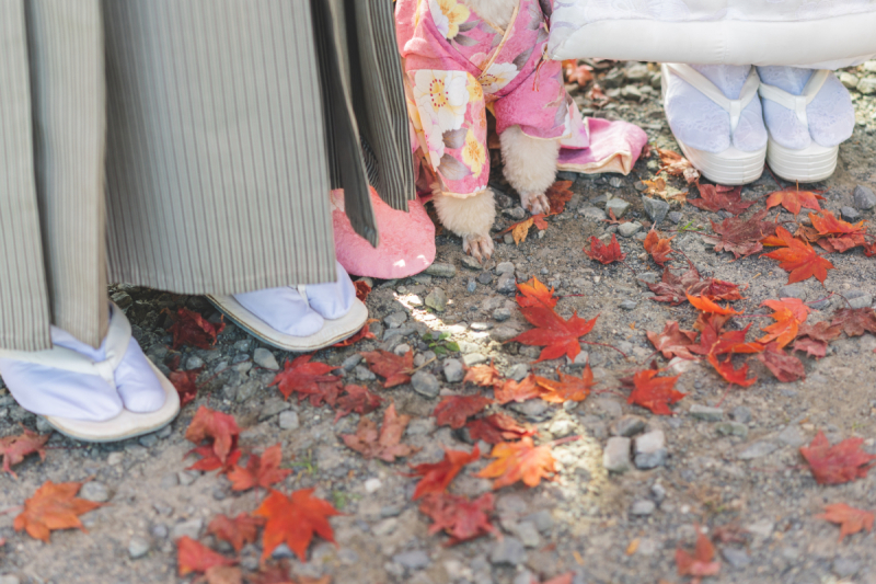 家族みんなの足元を紅葉と共に