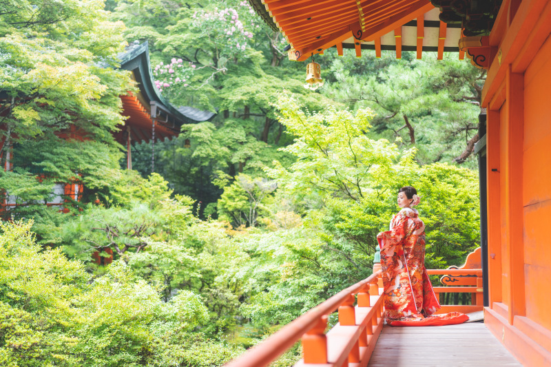 青々とした木々と朱色のコントラストが美しい一枚