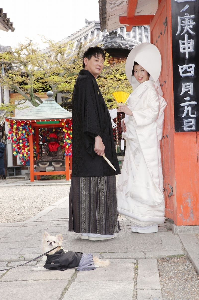 愛犬とロケーションフォト