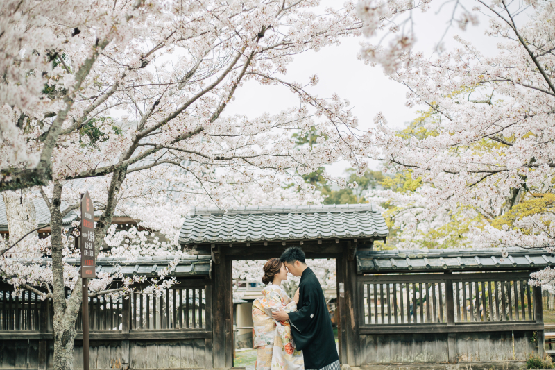 満開の桜と一緒に