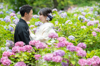 和装ロケーションフォト【智積院】