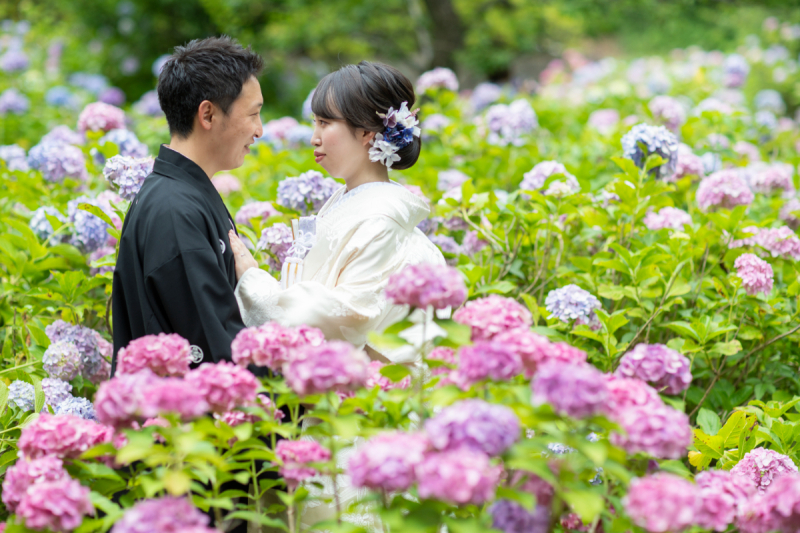 和装ロケーションフォト【智積院】