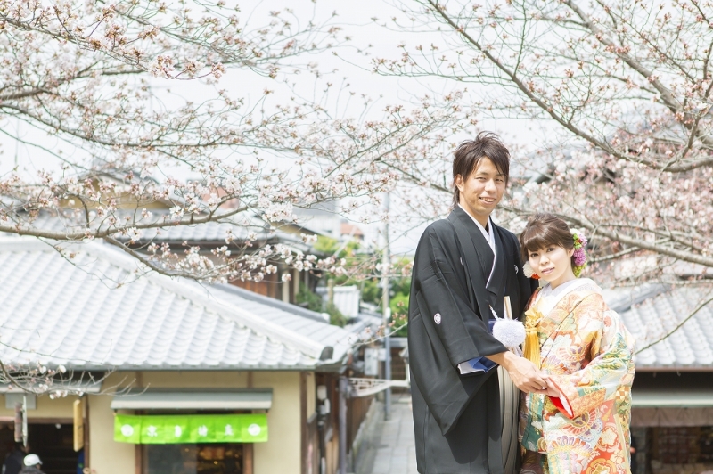 八坂の桜