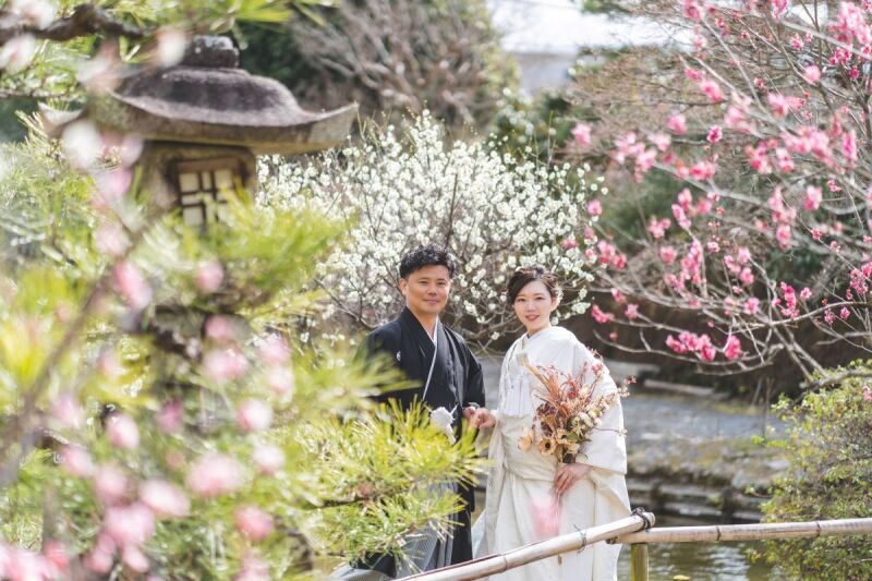 梅の花と