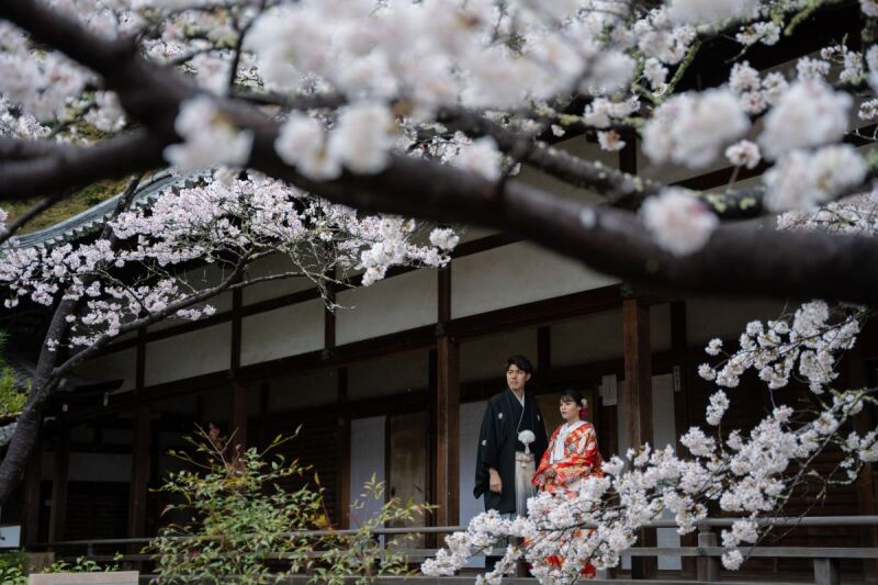 引きでのお写真