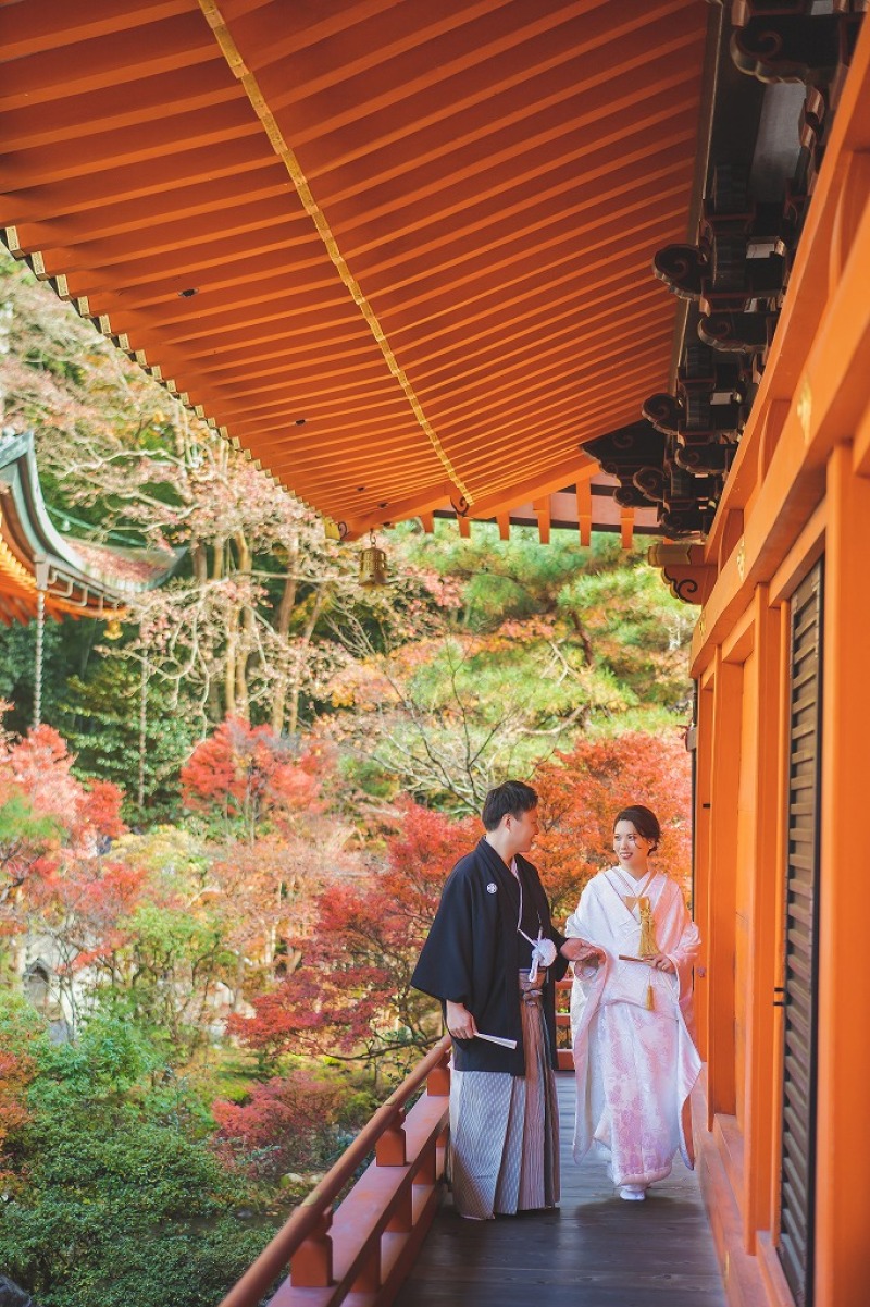 紅葉のコントラスト