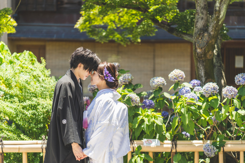 紫陽花の祝福、結ぶ愛