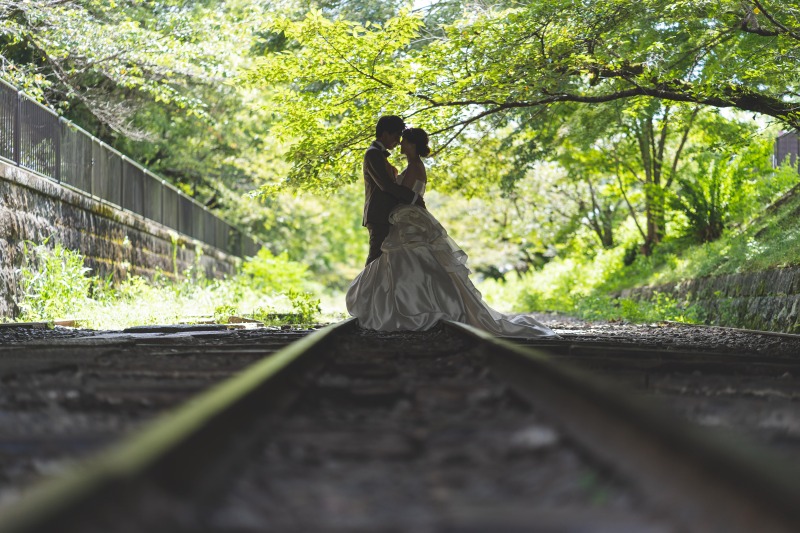 煌びやかな日差しと影