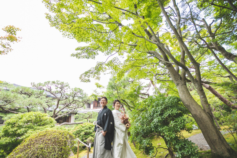 緑豊かな美しさ