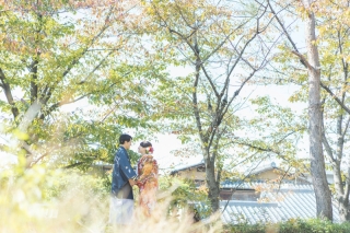 八坂エリアの緑