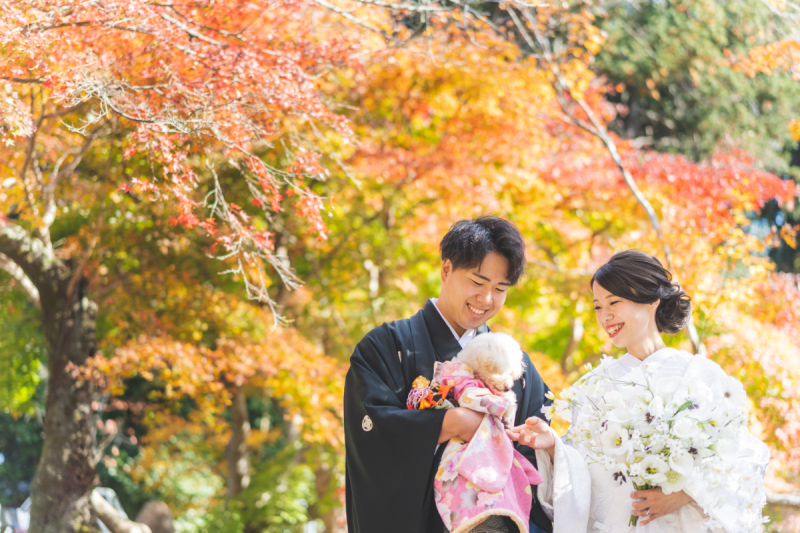 紅葉に包まれてワンちゃんと一緒に
