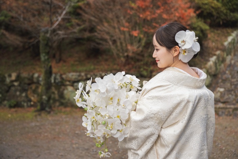 幸福を呼ぶ胡蝶蘭