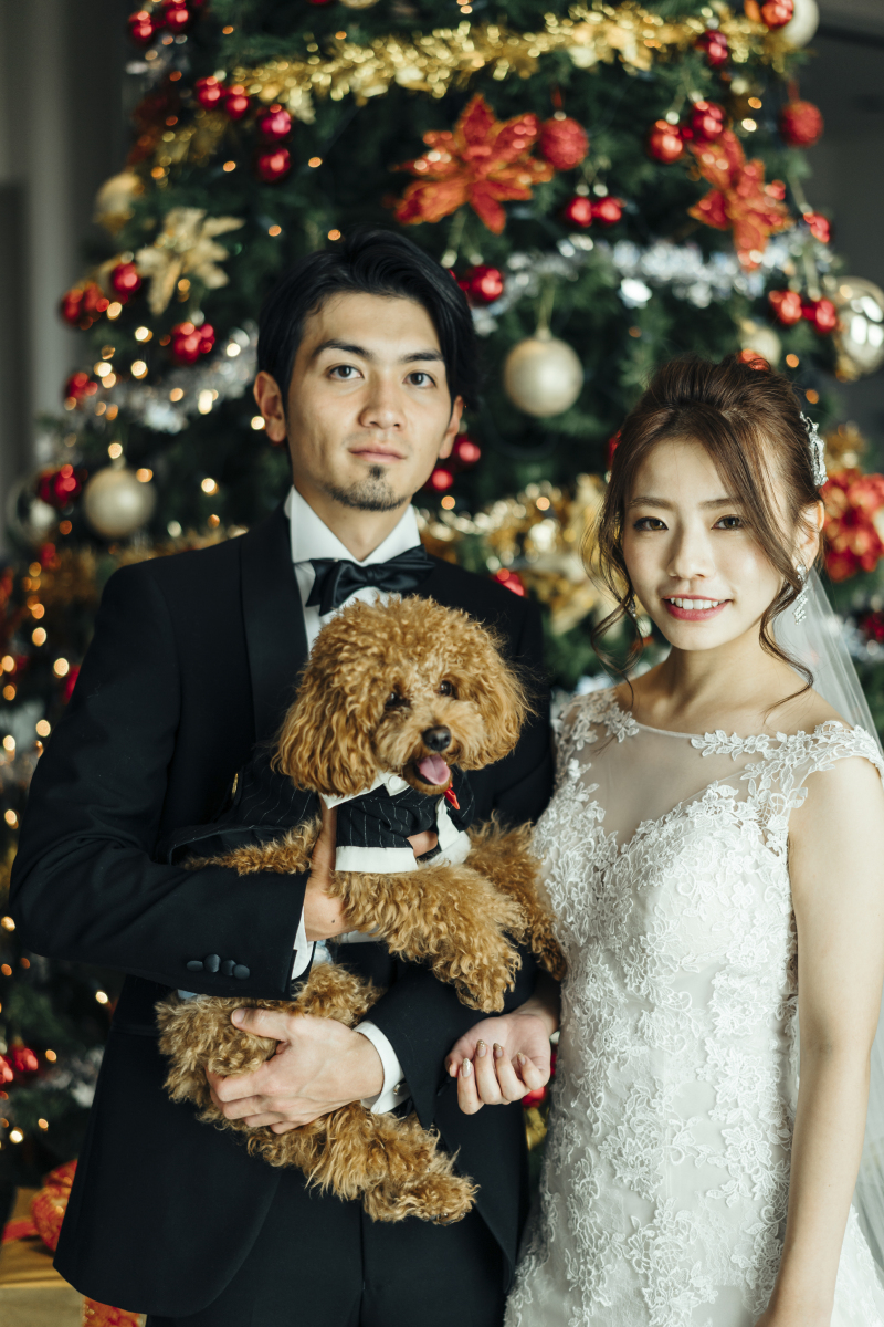 BIGクリスマスツリーで