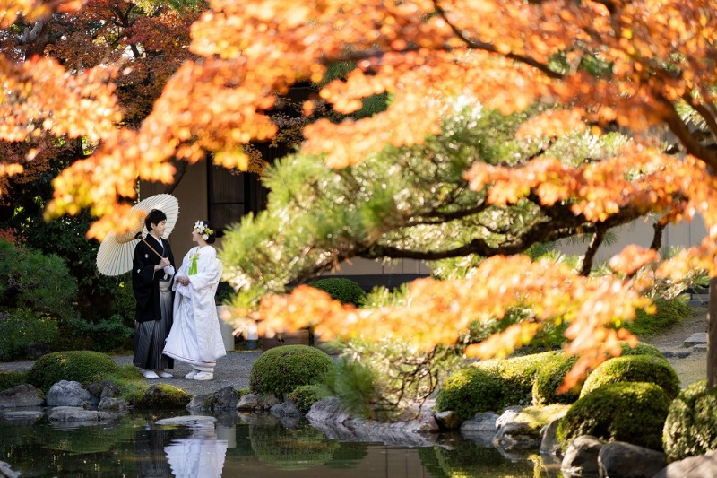 紅葉に包まれて