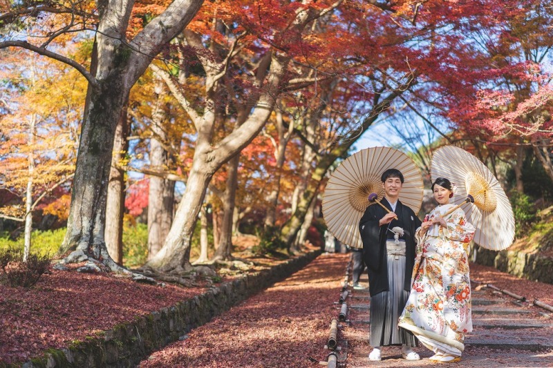 京都ならではの風景の中で