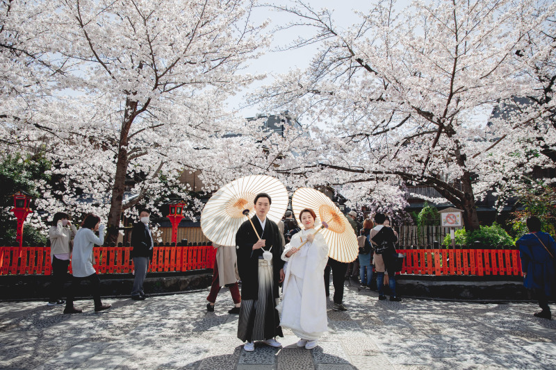 桜の木々の間から