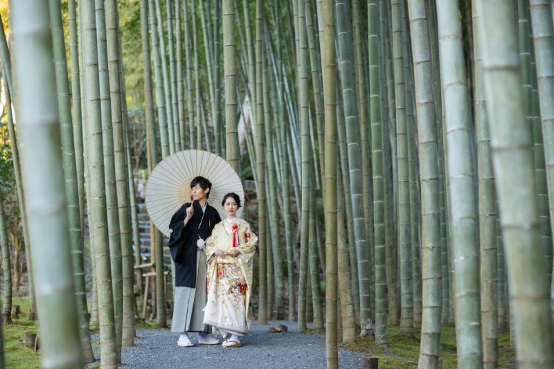 迫力のある景色