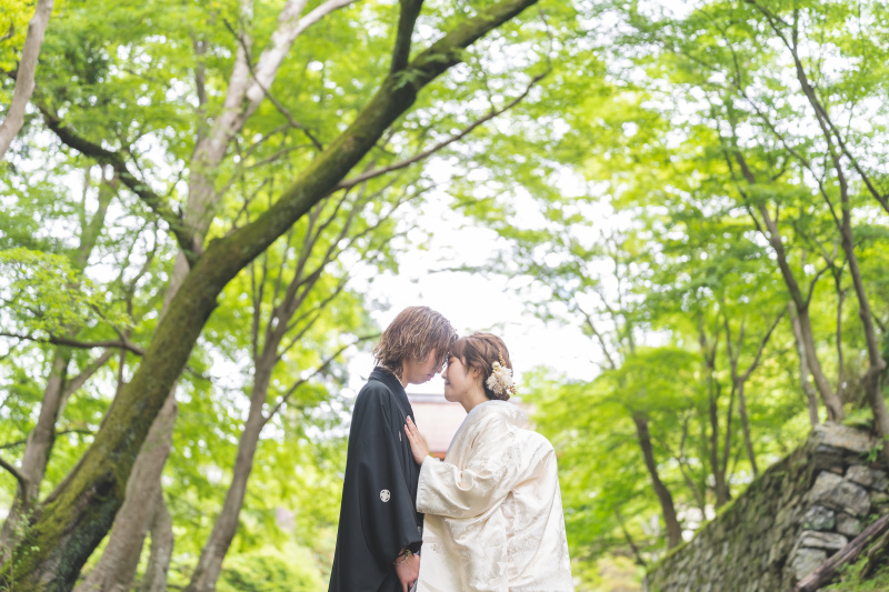 青々とした日本庭園の中で