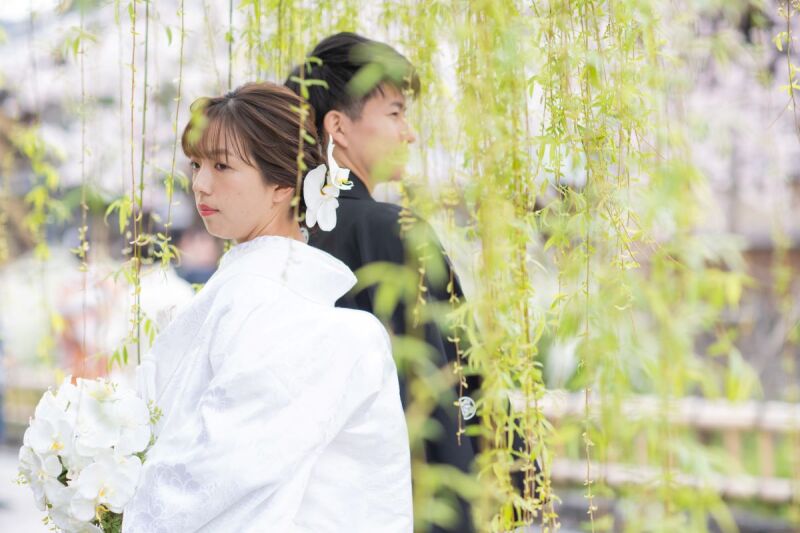 桜と緑のコントラスト