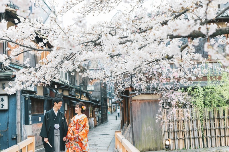 京都桜ロケーション