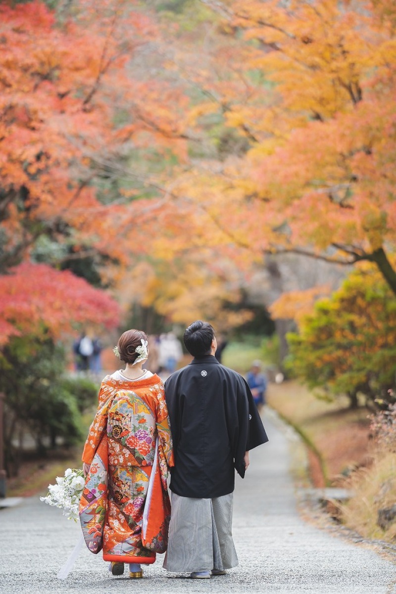紅葉を見上げて
