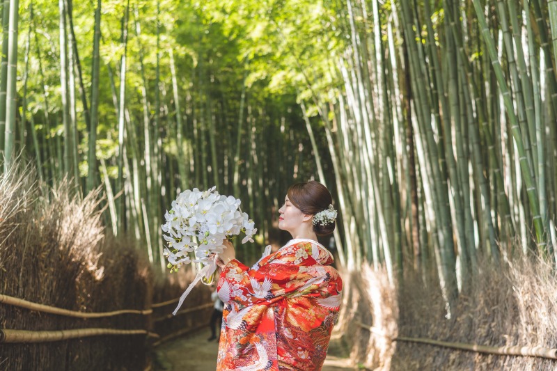 木漏れ日に照らされて